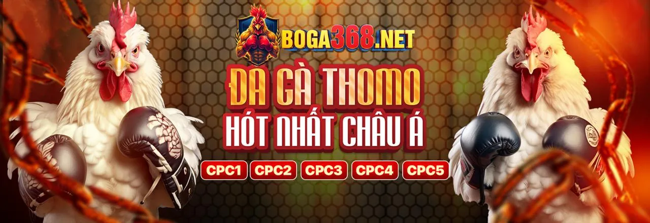 Người chơi mới đăng ký 188lot